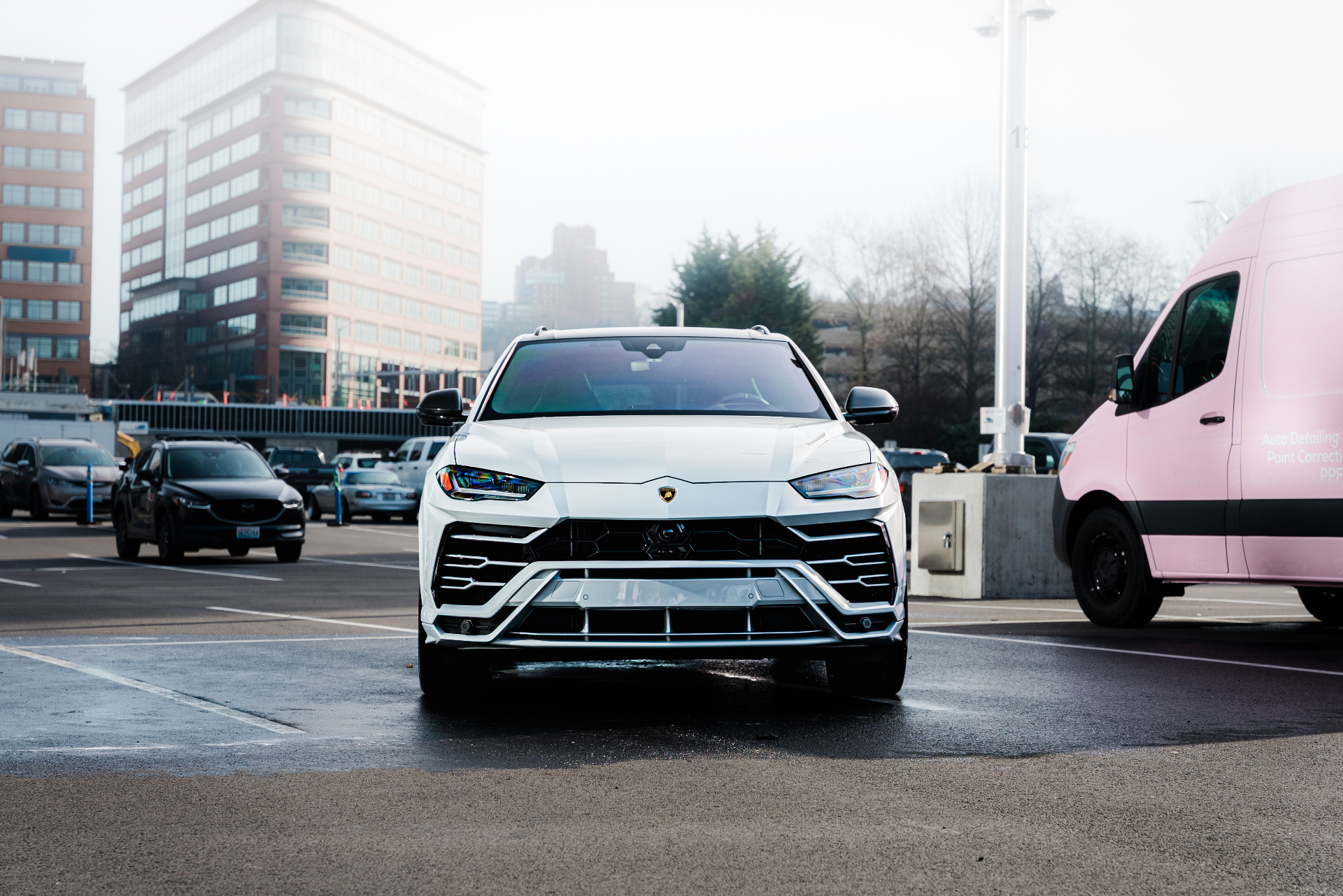 White Lamborghini Urus detailed alongside Dreamy's pink mobile detailing van in Seattle